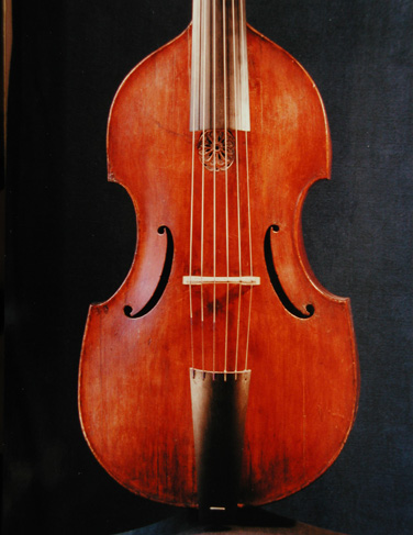 Viola da gamba by Michael Albanus, Graz 1706