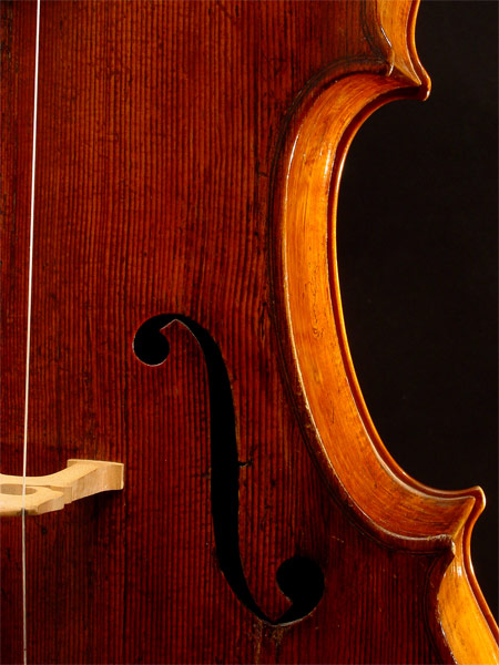Viola da gamba by Gianbattista Grancino