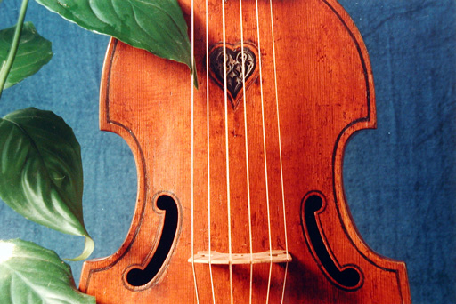 viola da gamba by William Turner, London, 1656